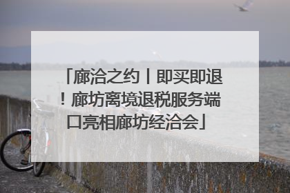 廊洽之约丨即买即退！廊坊离境退税服务端口亮相廊坊经洽会