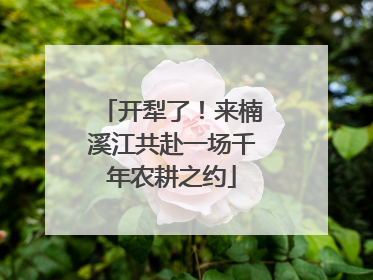 开犁了！来楠溪江共赴一场千年农耕之约