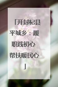 开封杞县平城乡：履职践初心 帮扶暖民心