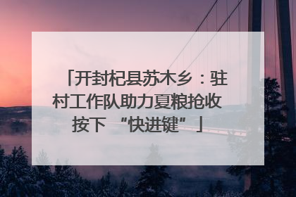 开封杞县苏木乡：驻村工作队助力夏粮抢收按下 “快进键”
