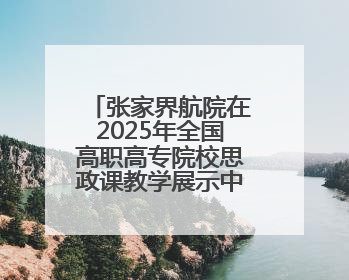 张家界航院在2025年全国高职高专院校思政课教学展示中获佳绩