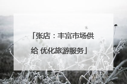 张店：丰富市场供给 优化旅游服务