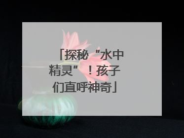 探秘“水中精灵”！孩子们直呼神奇