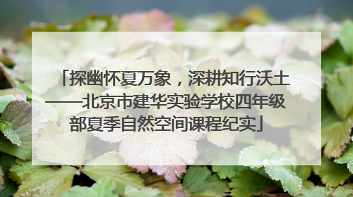 探幽怀夏万象，深耕知行沃土——北京市建华实验学校四年级部夏季自然空间课程纪实