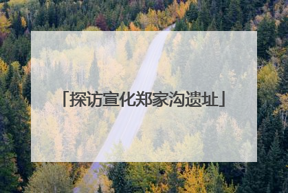 探访宣化郑家沟遗址