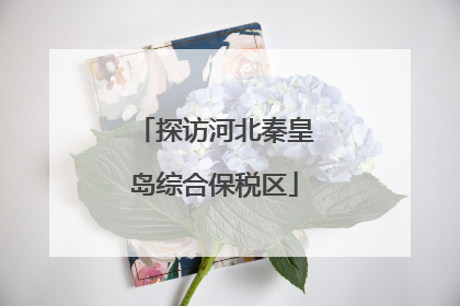 探访河北秦皇岛综合保税区