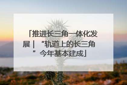 推进长三角一体化发展｜“轨道上的长三角”今年基本建成