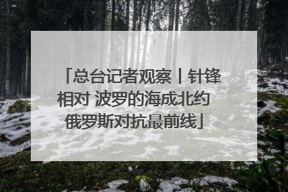 总台记者观察丨针锋相对 波罗的海成北约俄罗斯对抗最前线