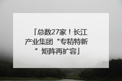 总数27家！长江产业集团“专精特新”矩阵再扩容