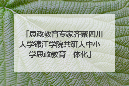 思政教育专家齐聚四川大学锦江学院共研大中小学思政教育一体化