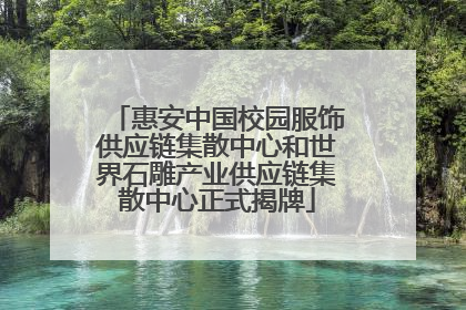 惠安中国校园服饰供应链集散中心和世界石雕产业供应链集散中心正式揭牌