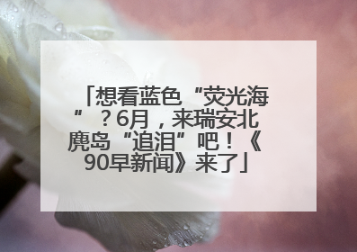 想看蓝色“荧光海”？6月，来瑞安北麂岛“追泪”吧！《90早新闻》来了