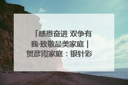 感恩奋进 双争有我·致敬最美家庭｜贺彦霞家庭：银针彩线绣出好日子
