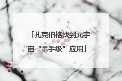扎克伯格找到元宇宙“杀手级”应用