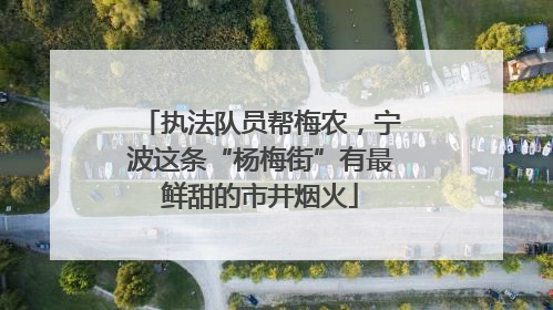 执法队员帮梅农，宁波这条“杨梅街”有最鲜甜的市井烟火