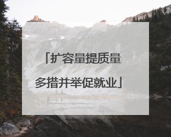 扩容量提质量 多措并举促就业