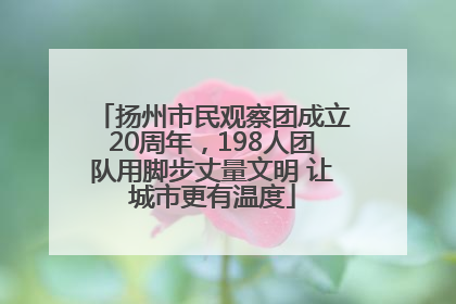 扬州市民观察团成立20周年，198人团队用脚步丈量文明 让城市更有温度