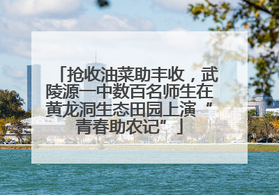 抢收油菜助丰收，武陵源一中数百名师生在黄龙洞生态田园上演“青春助农记”