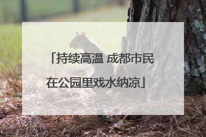 持续高温 成都市民在公园里戏水纳凉