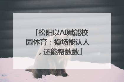 松阳以AI赋能校园体育：操场能认人，还能帮数数