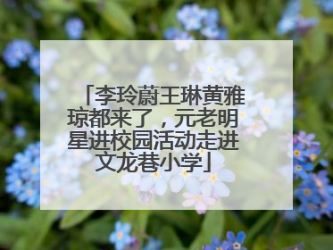 李玲蔚王琳黄雅琼都来了，元老明星进校园活动走进文龙巷小学
