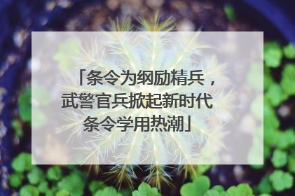 条令为纲励精兵，武警官兵掀起新时代条令学用热潮