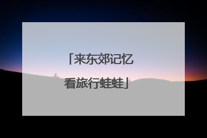 来东郊记忆 看旅行蛙蛙