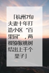 杭州7旬夫妻十年打造小区“百果园”，两棵猕猴桃树结出上千个果子