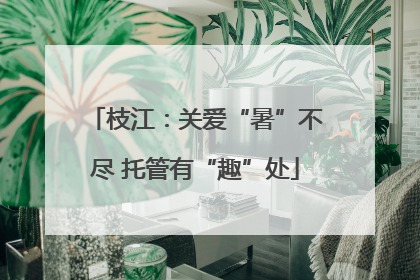 枝江：关爱“暑”不尽 托管有“趣”处
