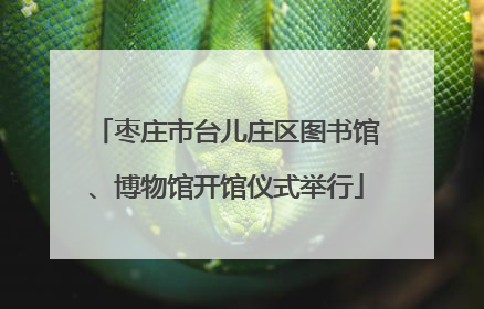 枣庄市台儿庄区图书馆、博物馆开馆仪式举行