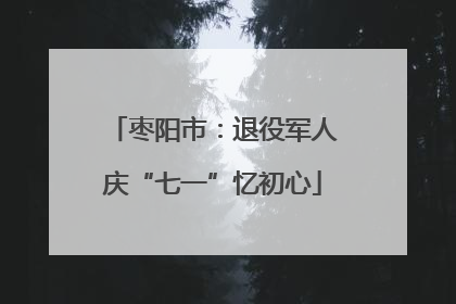 枣阳市：退役军人庆“七一”忆初心