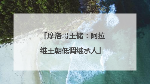 摩洛哥王储：阿拉维王朝低调继承人