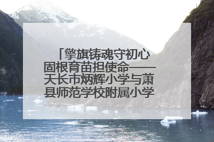 擎旗铸魂守初心 固根育苗担使命——天长市炳辉小学与萧县师范学校附属小学结对共建活动纪实