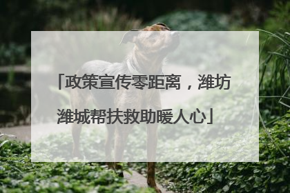 政策宣传零距离，潍坊潍城帮扶救助暖人心