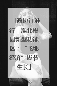 政协江淮行｜淮北段园新型功能区：“飞地经济”拔节生长