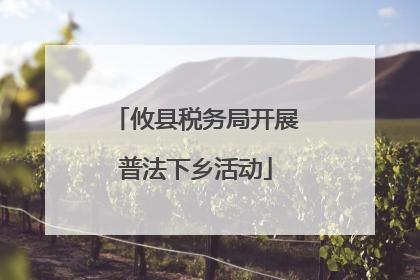 攸县税务局开展普法下乡活动