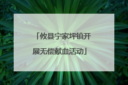 攸县宁家坪镇开展无偿献血活动
