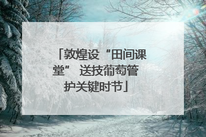 敦煌设“田间课堂” 送技葡萄管护关键时节