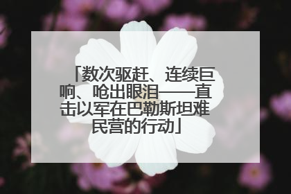 数次驱赶、连续巨响、呛出眼泪——直击以军在巴勒斯坦难民营的行动