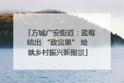 方城广安街道：蓝莓结出 “致富果” 绘就乡村振兴新图景