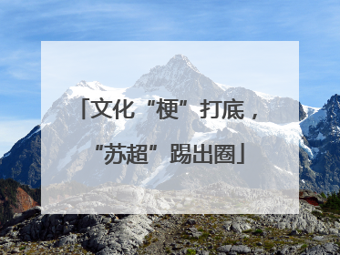 文化“梗”打底，“苏超”踢出圈