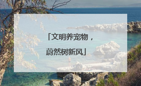 文明养宠物，蔚然树新风