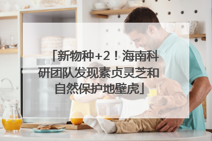 新物种+2！海南科研团队发现素贞灵芝和自然保护地壁虎