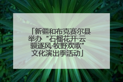 新疆和布克赛尔县举办“石榴花开·云骥逐风·牧野欢歌”文化演出季活动