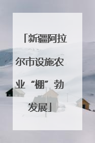 新疆阿拉尔市设施农业“棚”勃发展