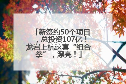新签约50个项目，总投资107亿！龙岩上杭这套“组合拳”，漂亮！