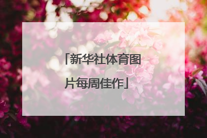 新华社体育图片每周佳作