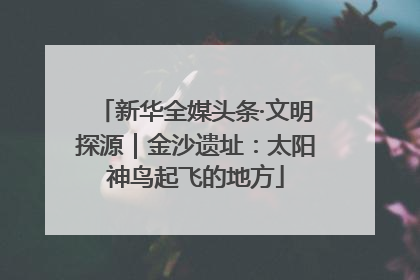 新华全媒头条·文明探源｜金沙遗址：太阳神鸟起飞的地方