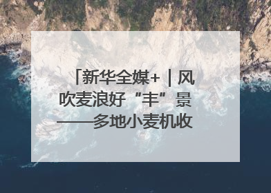 新华全媒+｜风吹麦浪好“丰”景——多地小麦机收一线见闻