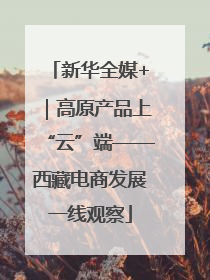 新华全媒+｜高原产品上“云”端——西藏电商发展一线观察